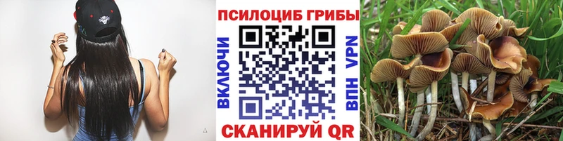 Галлюциногенные грибы ЛСД Кирс